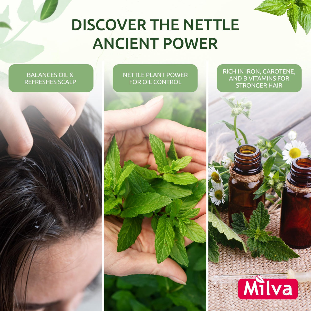 Nettle Shampoo - Helps Regulate Sebum Production, Reduce Dandruff & Ease Scalp Irritation - For Strong, Healthy Hair- 200ml