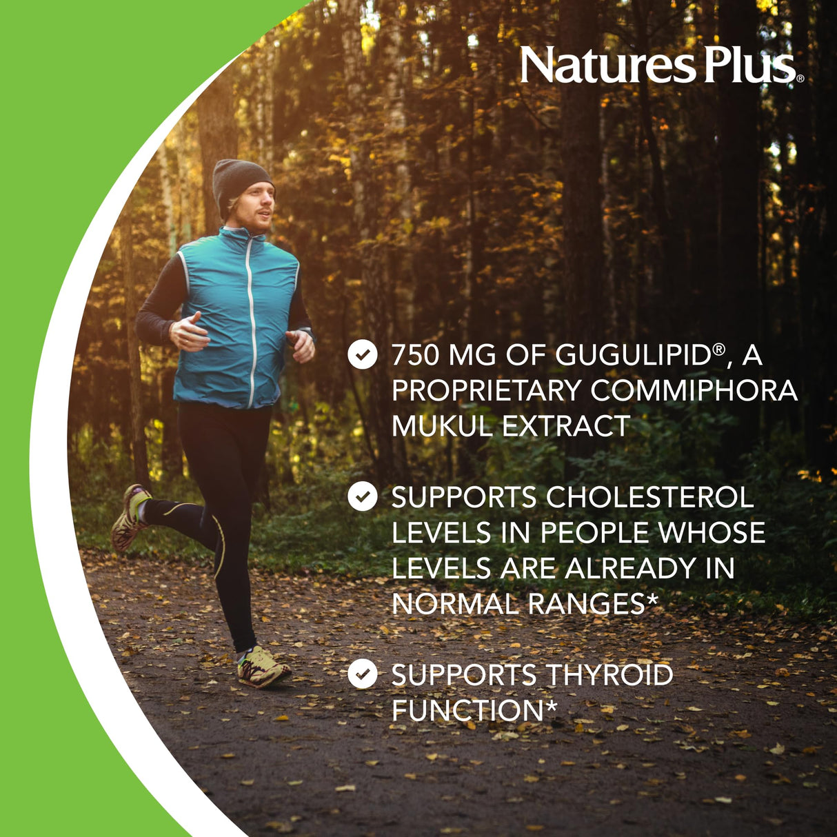 Natures Plus Herbal Actives Gugulipid, Extended Release- 1000 mg, 2.5% Guggulsterones - 30 Vegan Tablets - Ayurvedic Botanical Supplement - Vegetarian, Gluten-Free - 30 Servings