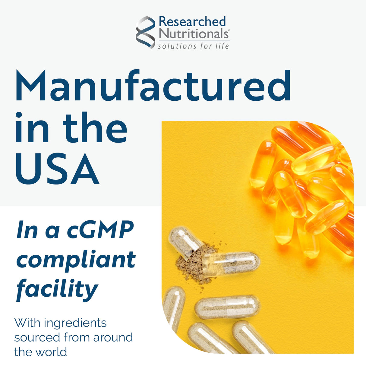 Researched Nutritionals Brain Supplements for Memory & Focus Support - BDNF Essentials - Bacopa Monnieri, Organic Lion's Mane & Herbal Supplements to Promote Healthy Cortisol Levels (120 Capsules)