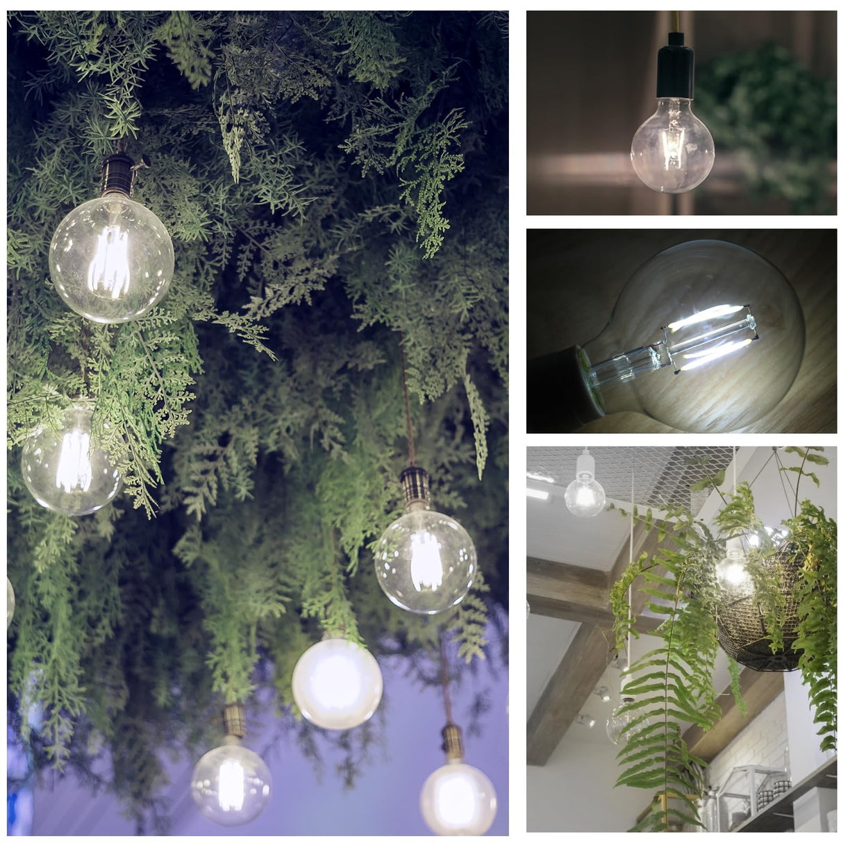 ENERGETIC SMARTER LIGHTING 5W Dimmable G25 LED Edison Light Bulb, G25 (G80) Globe Bulb, 60W Equivalent, 5000K Daylight, Christmas Light, E26 Standard Base, ETL Listed, 6-Pack