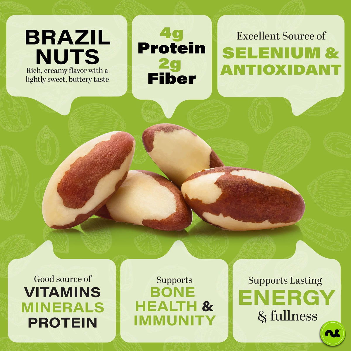 NUT CRAVINGS - Raw Brazil Nuts, Unsalted (16oz - 1 LB) No Shell, Whole