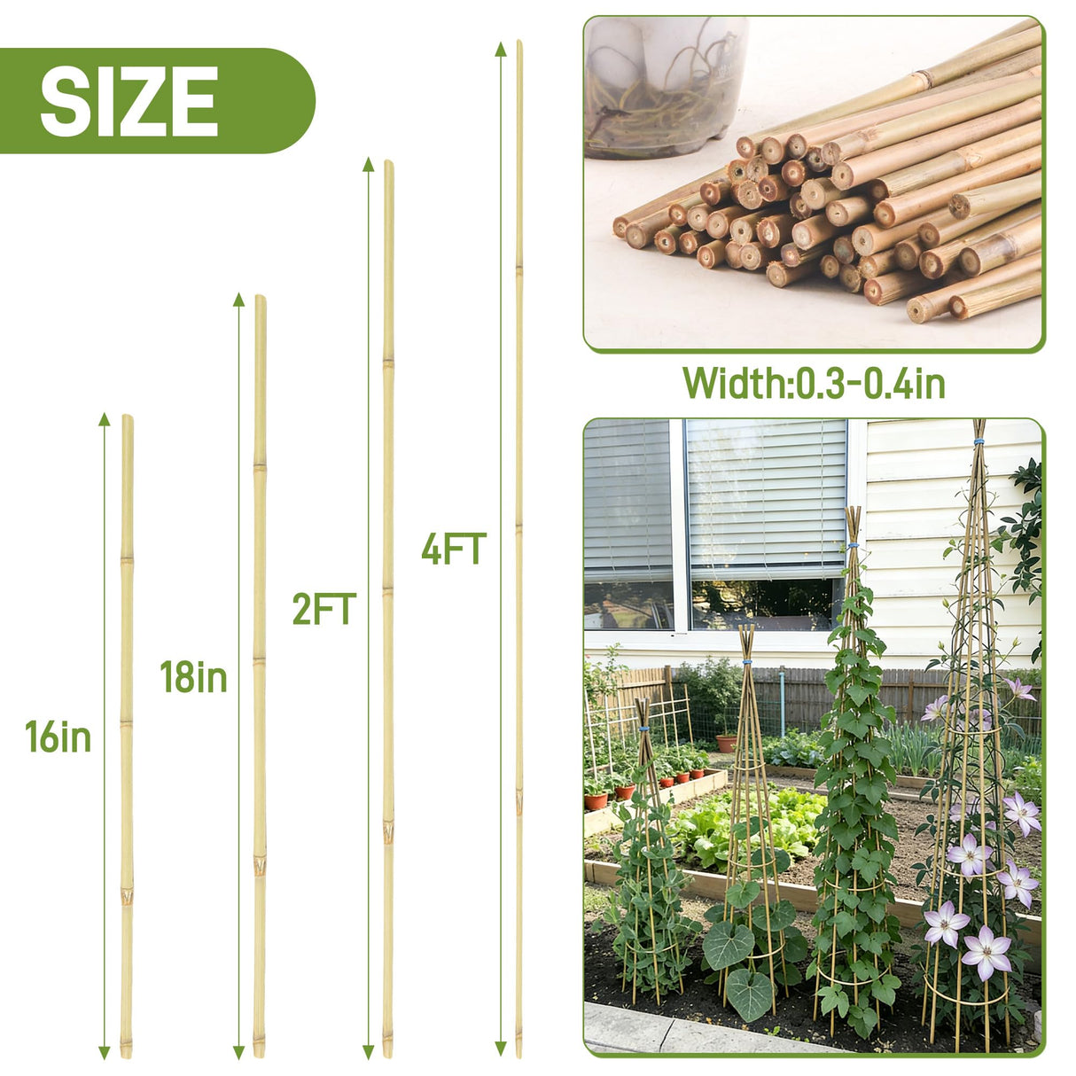 0.32”-0.4"/ 4 Feet Garden Stakes, Natural Bamboo Sticks Plant Stakes for Indoor and Outdoor Plants,Poles for Tomatoes, Beans, Potted Plants(50Pcs)