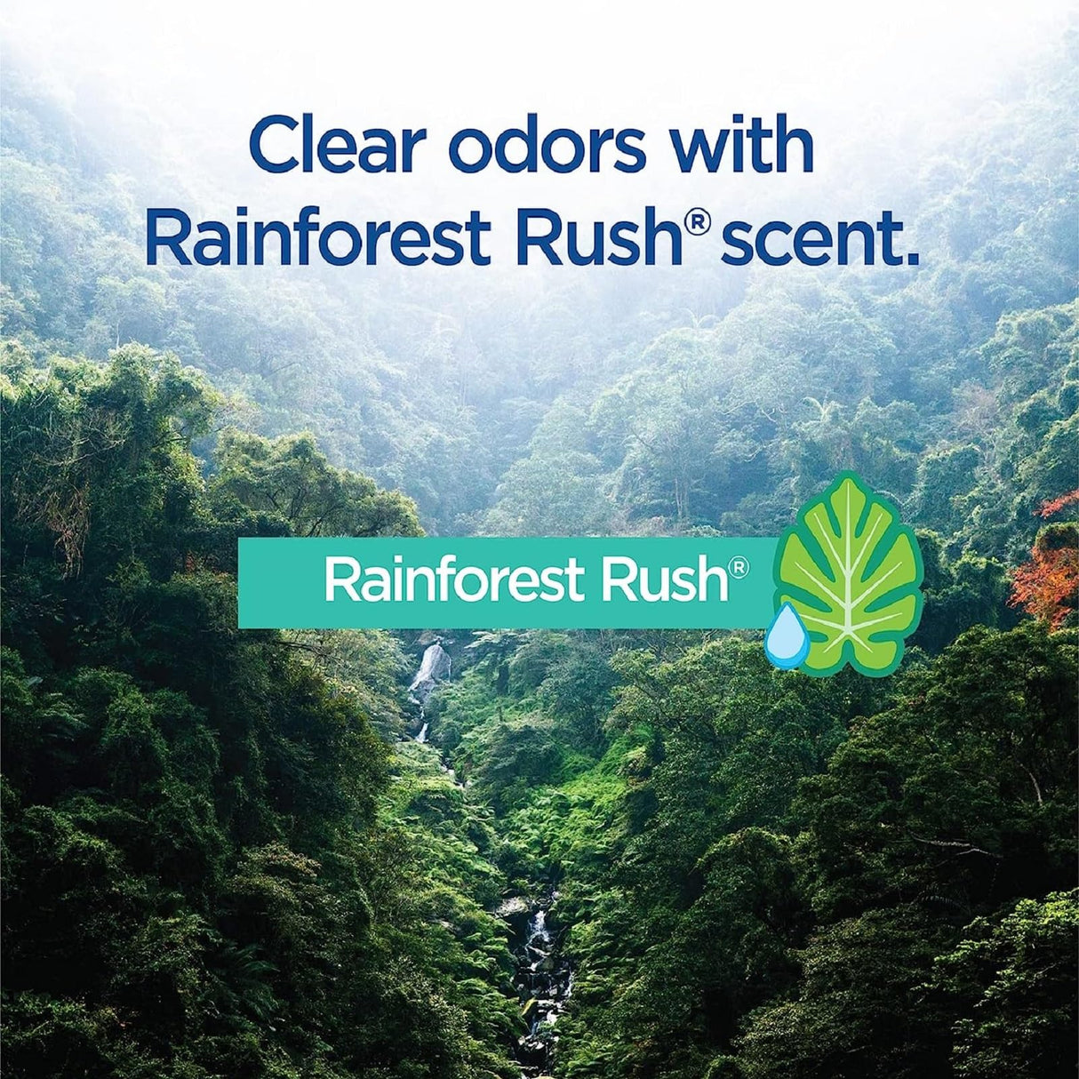 Clorox ToiletWand Disinfecting Refills, Rainforest Rush, 30 Ct (Package May Vary)