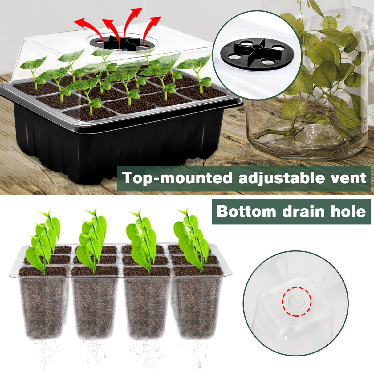 ZeeDix 6 Set Seed Starter Tray Kits, 6 Pack Seed Trays with 90 Pack Coco Coir Pellets, Adjustable Humidity Germination Tray with Dome Lids for Indoor Plants, Mini Greenhouse for Vegetables Garden