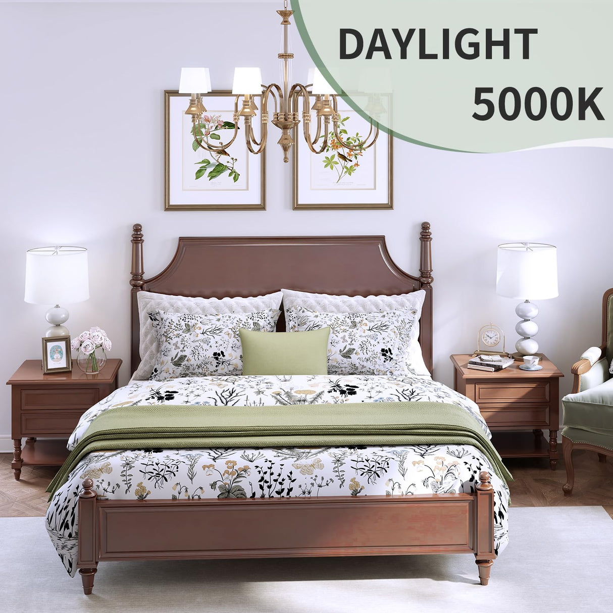 evelor A19 LED Light Bulbs,60 Watt Equivalent Daylight 5000K with E26 Base,Efficient 9W,800 Lumens Non-Dimmable LED Bulbs,15000 Hours, Ideal for Bedroom Living Room, 12-Packs