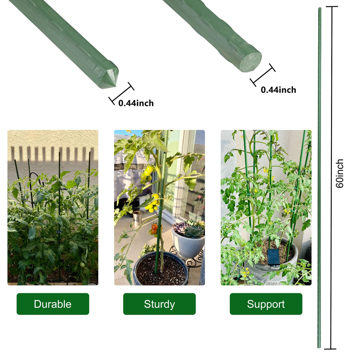 Garmeinea Garden Stakes 57 Inches Plastic Coated Steel Plant Stakes for Growing Climbing Plants, Pack of 25