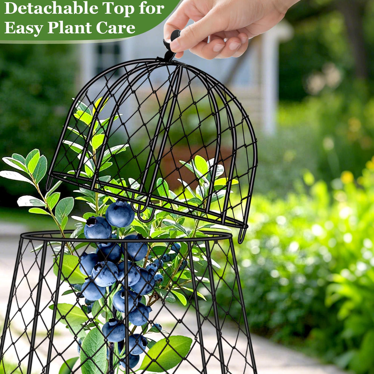 6 Pack Plant Protectors from Animals, Garden Cloches for Plants, Rustproof Chicken Wire Cloche Plant Cages to Keep Animals Out, Sturdy Metal Garden Cages for Outdoor Plants 13" D x 20" H