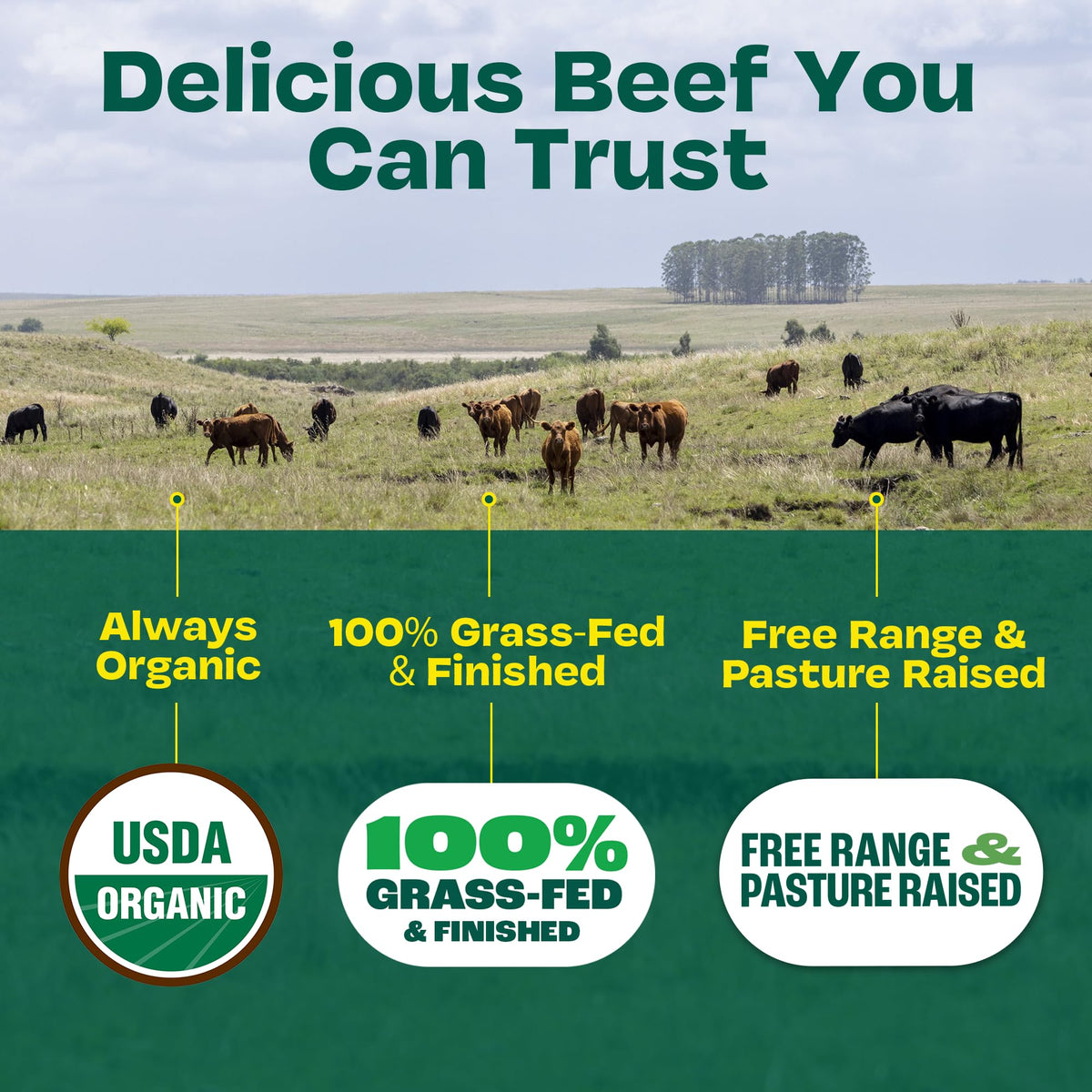 Verde Farms, Beef Ribeye Steak, Organic, Grass-Fed | 0.625 lbs.