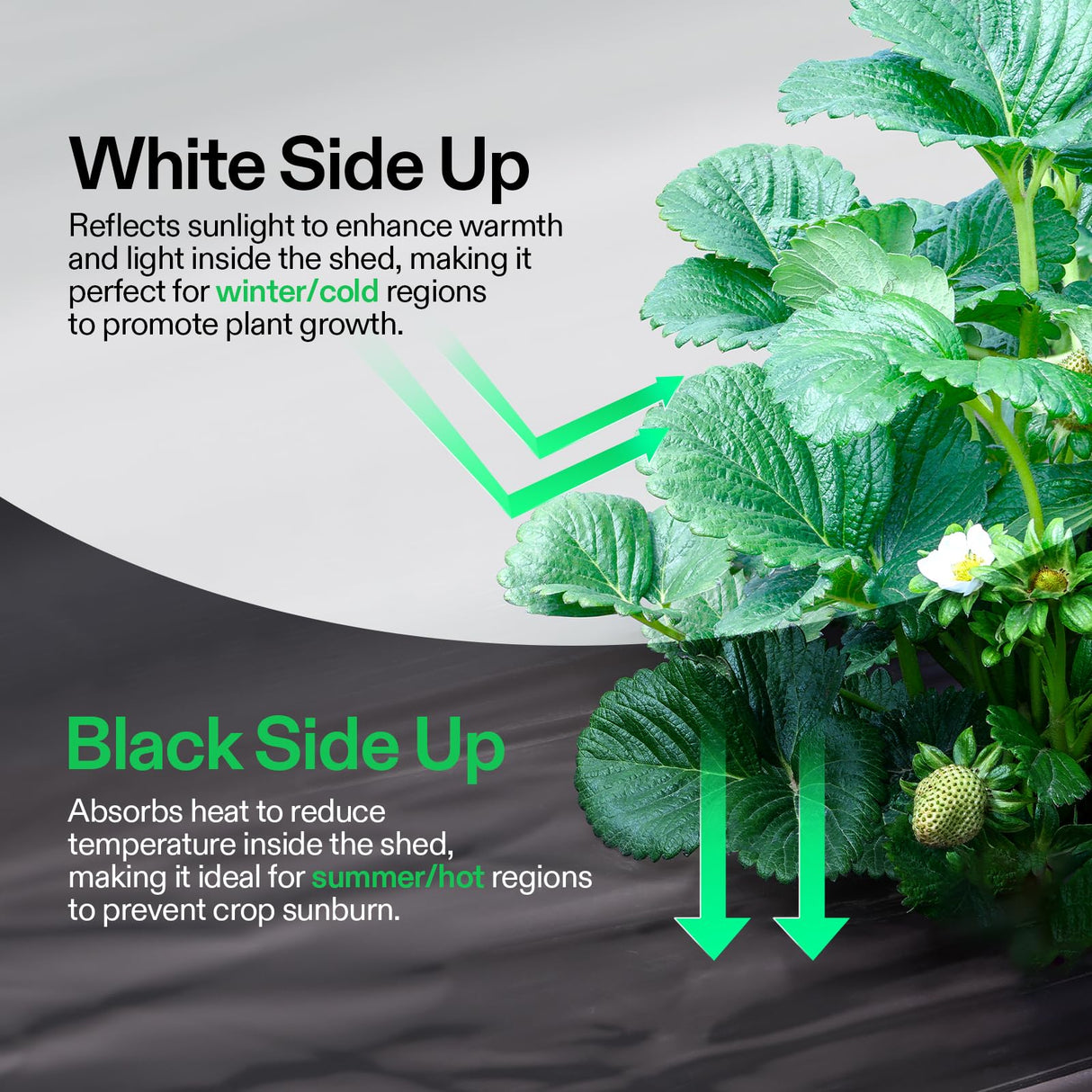 VIVOSUN Black and White Panda Film, 10' x 10' 5.5 Mil Poly Film, Blackout Tarp for Warm House