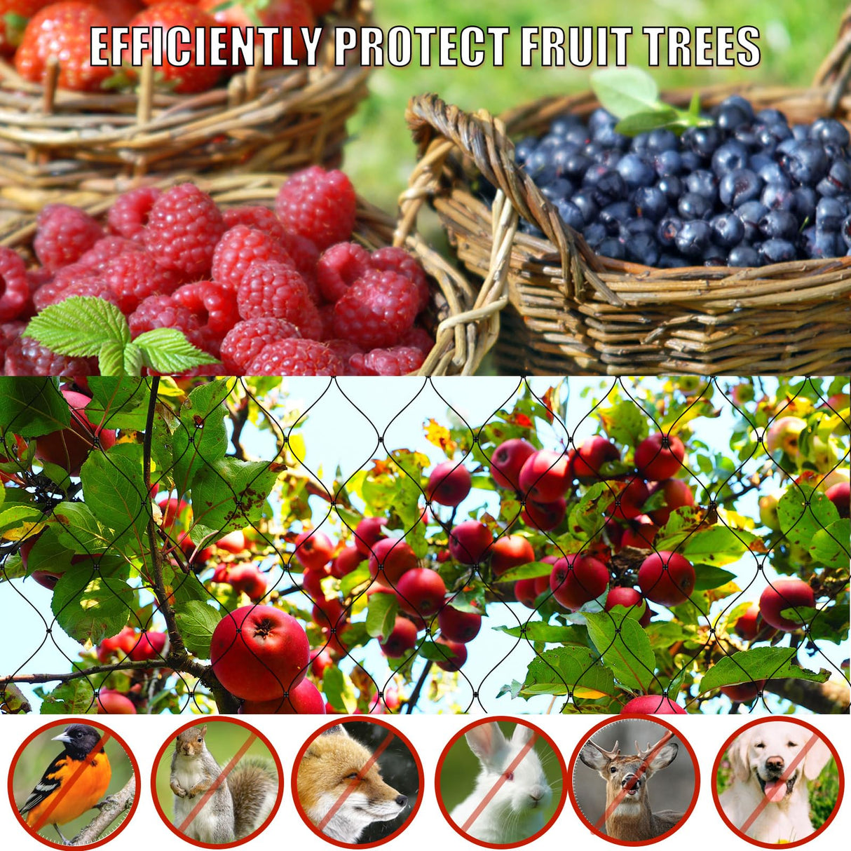 CITOOTY Bird Netting for Chicken Coop Run, 25x50 Ft Heavy Duty Poultry Netting with 2.4" Mesh, UV Resistant Black Net Garden Netting for Fruit Trees, Vegetable Plants, and Yard Protection