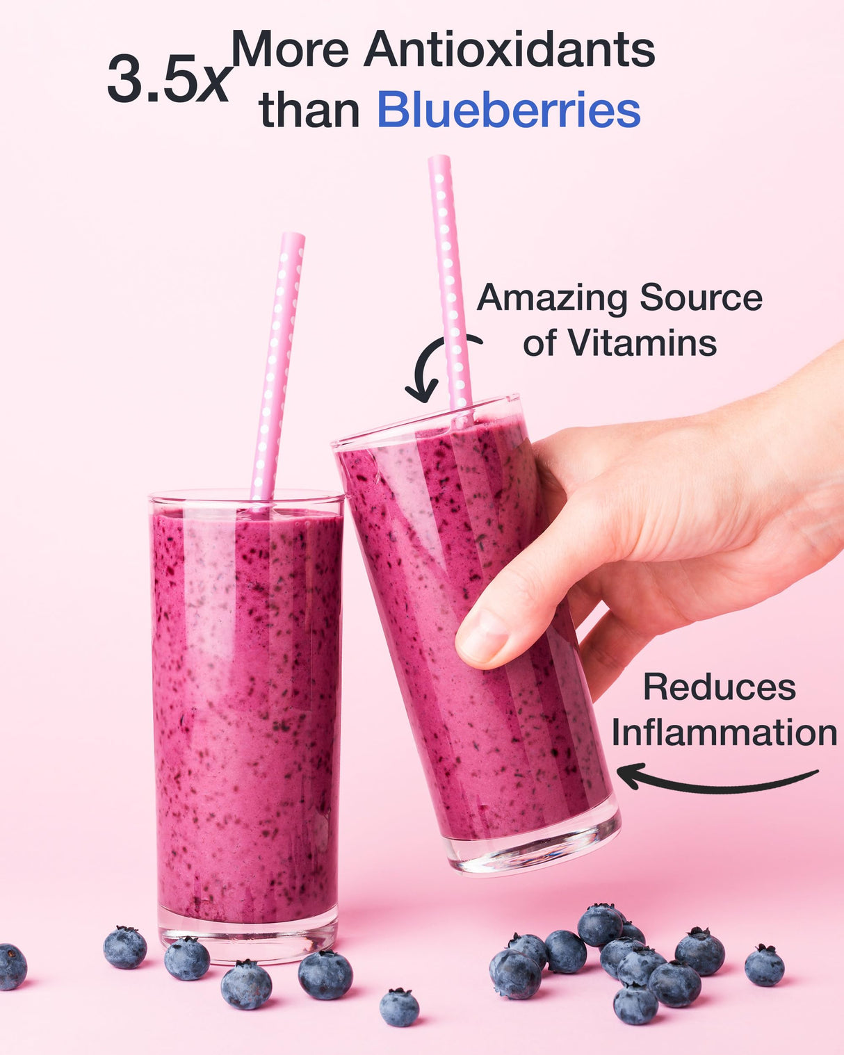 Green Valley Superfoods Organic Aronia Berry Juice Powder, Chokeberry, Antioxidant Rich Anthocyanins (1 Pound)