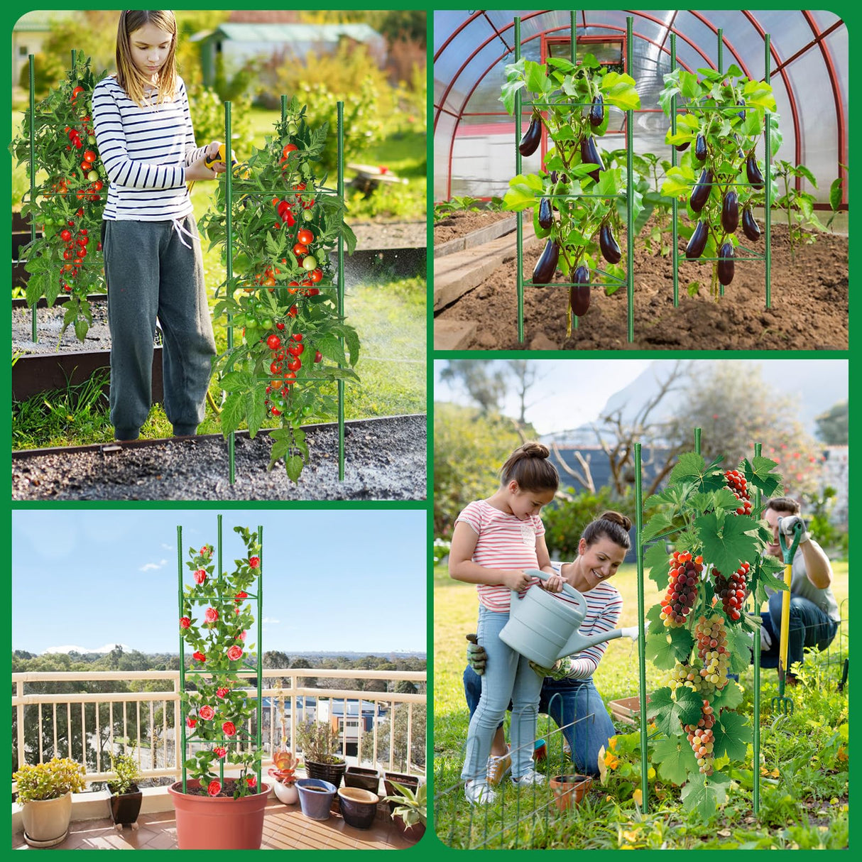 6 Pack Tomato Cages, 51.2in Tomato Plant Support Stakes Heavy-Duty, Garden Tomato Cages & Trellis for Climbing Vegetables, Tomatoes, Peppers, and Potted Plants(6)
