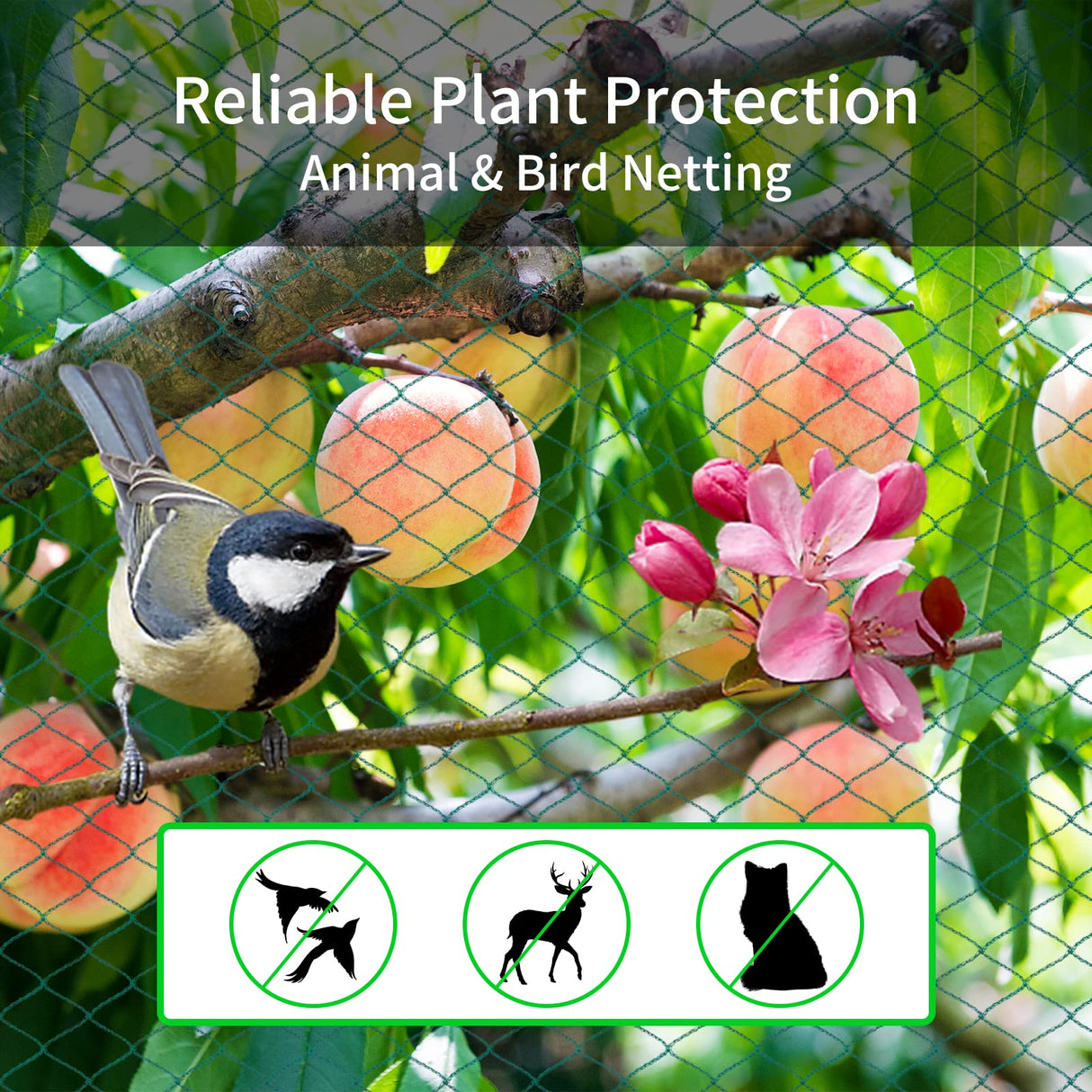 Bird Netting 20'x40' with 1" Square Mesh Bird Net Garden Netting for Chicken Coop, Aviary, Deer Fence, Chicken Netting Fruit Tree Netting