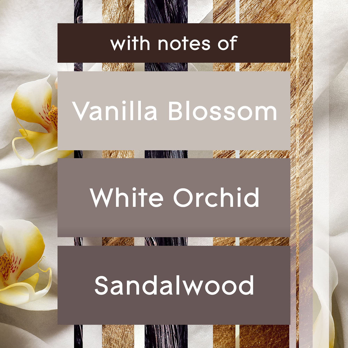 Glade PlugIns Refills Air Freshener, Sheer Vanilla Embrace, Scented and Essential Oils for Home and Bathroom, 0.67 Fl Oz, 10 Count