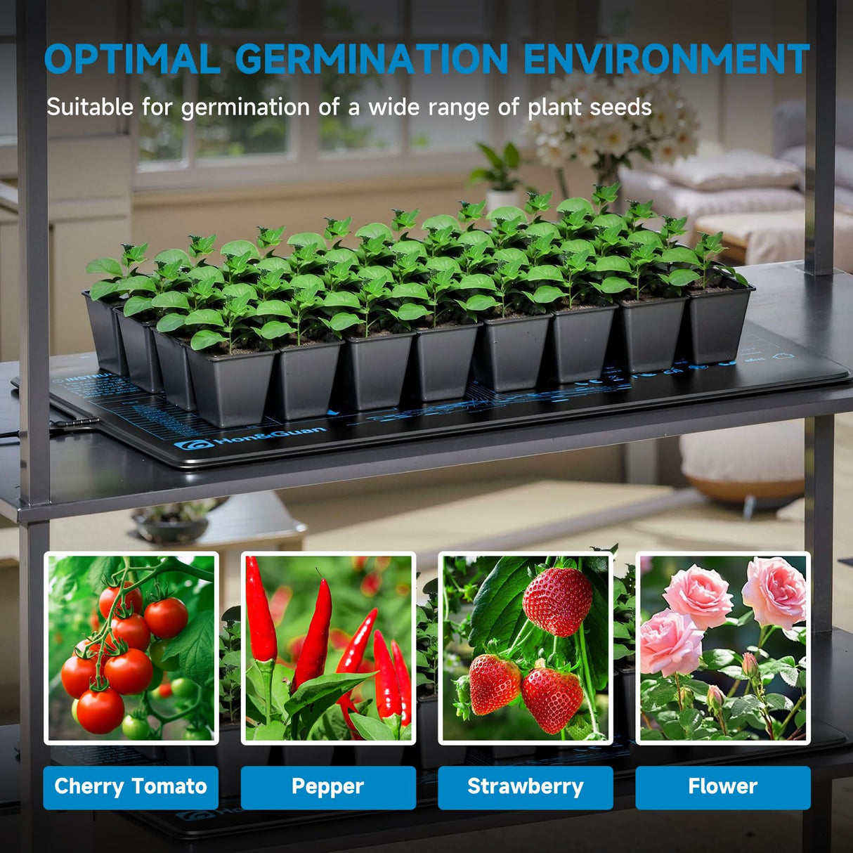 Hon&Guan 2 Packs 10"x 20.75" Seedling Heat Mat with Digital Thermostat Combo Set,Waterproof Plant Heating Pad for Germination,Indoor Gardening,Greenhouse