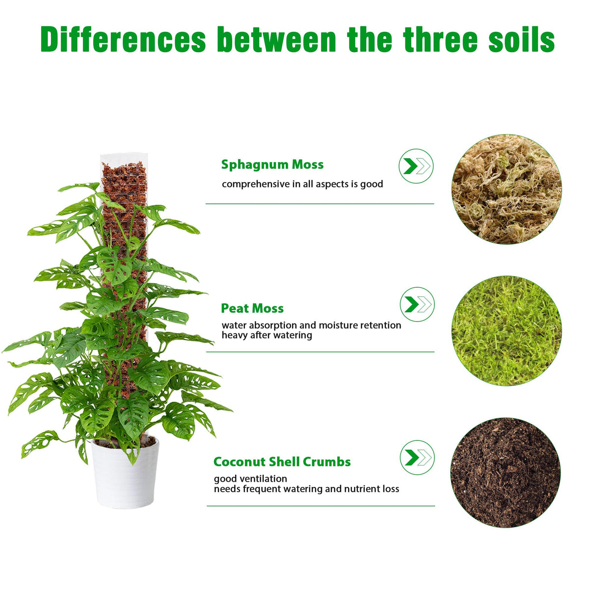 Bonviee 4-Pack 15-Inch Plastic Moss Poles for Monstera & Climbing Plants - Stackable to 60 Inches, Includes Sphagnum Moss & Garden Ties for Indoor Plant Support