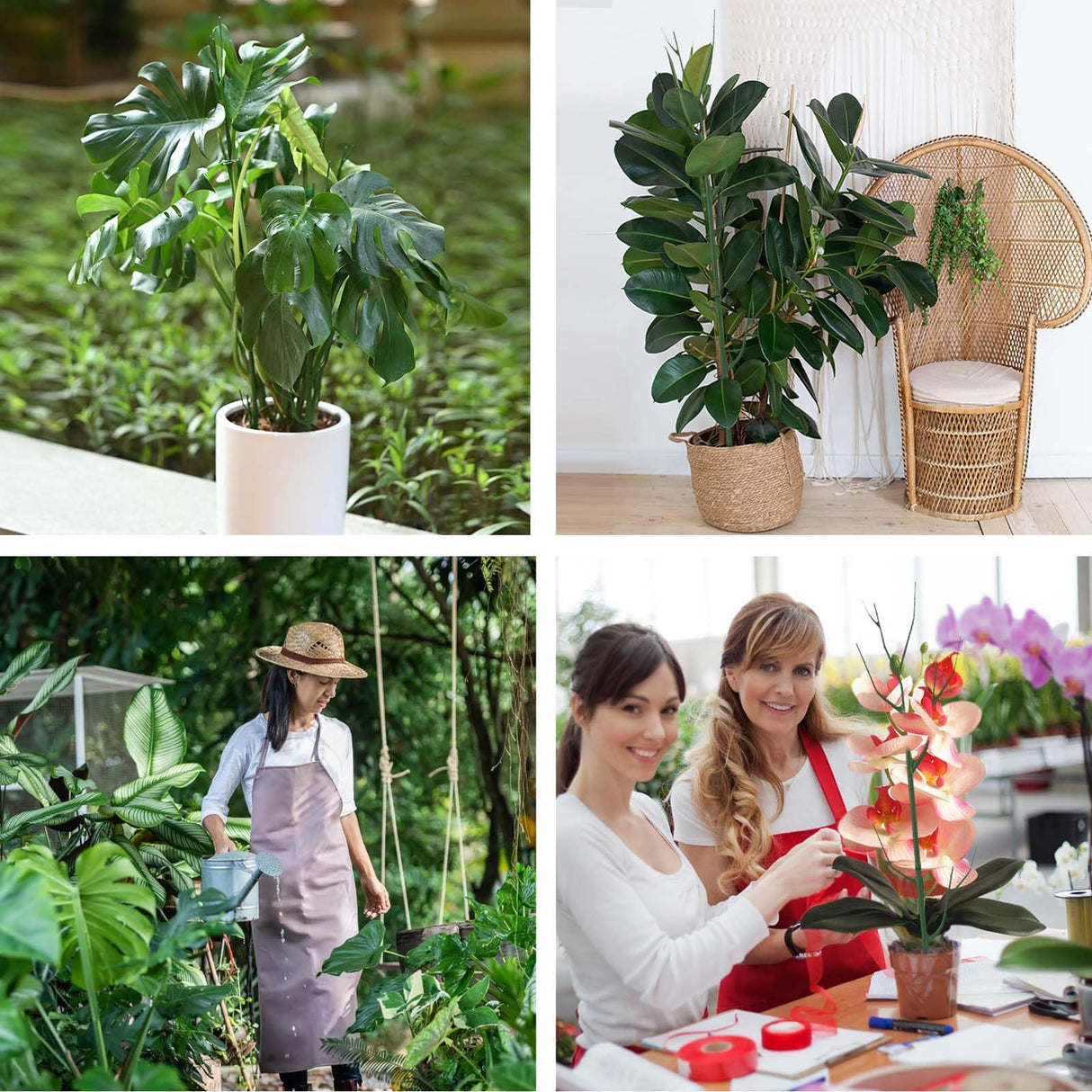 Yhtpouqe 12 Pack Plant Support Stakes, Plant Stakes for Indoor and Outdoor Plants. 39.37inch Plant Sticks with Extension Poles, Plant Clips, Plant Ties for Potted Monstera Plants, Climbing Plants