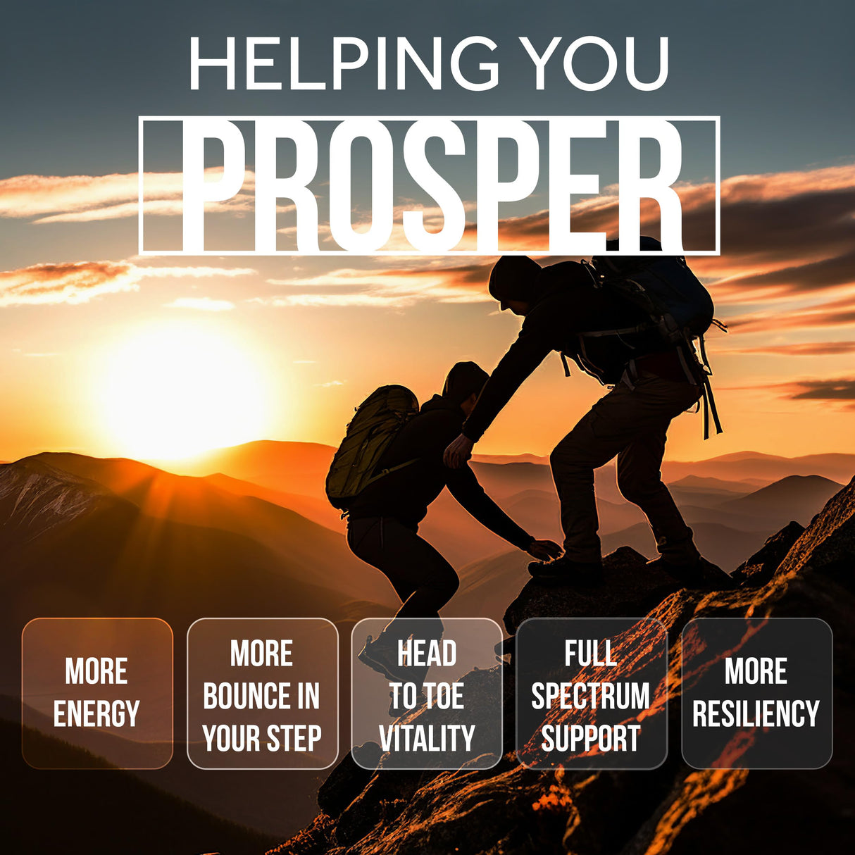 Beef Organ Supplement Grass Fed Complex for Men and Women - 10 Carnivore Meat Proprietary Blend of Beef Liver, Marrow, Brain, Thymus, Spleen, Kidney, Colostrum, Heart, Pancreas, Gallbladder -180 Caps