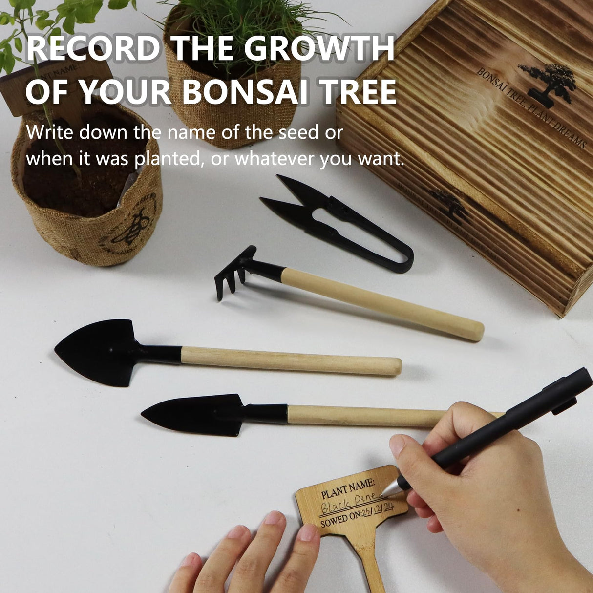 LUOJIBIE Bonsai Tree Kit - Unique Gift for Women, Men, Boys & Girls