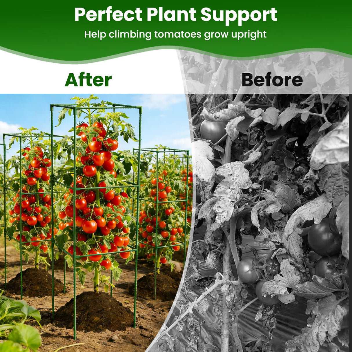 3 Pack Tomato Cages, 48'' Tall Tomato Plant Stakes Support for Raised Garden Bed Tomato, Square Trellis Cages for Garden Climbing Vegetables Flowers Fruits