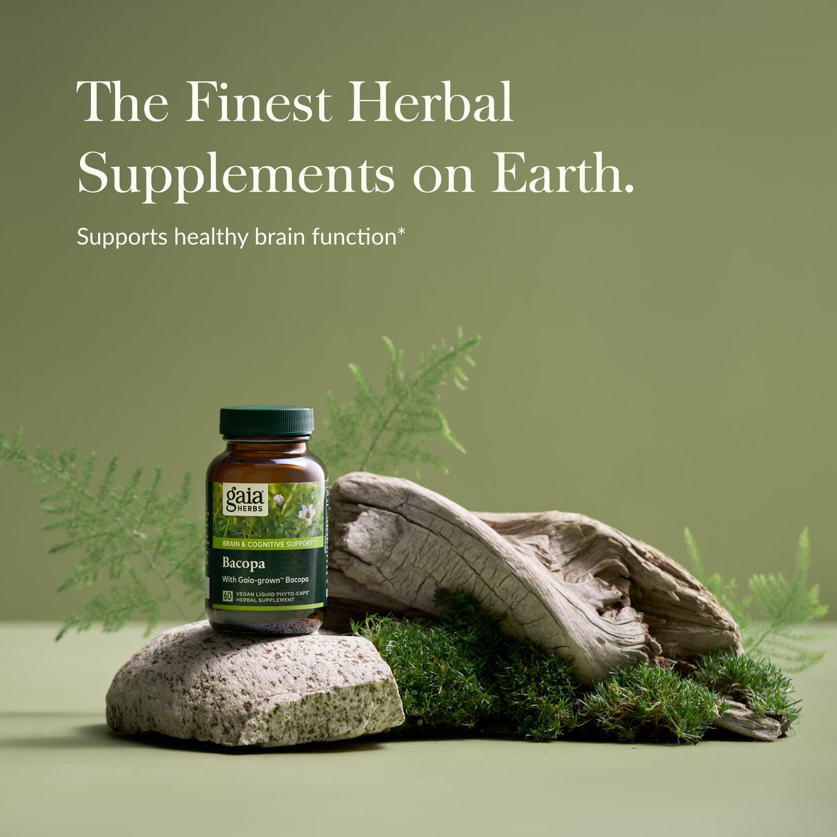 Gaia Herbs Bacopa - Brain and Cognitive Support Herbal Supplement - Made with Bacopa (Bacopa Monnieri) to Help Support a Thriving Mind - 60 Vegan Liquid Phyto-Capsules (Up to 60-Day Supply)