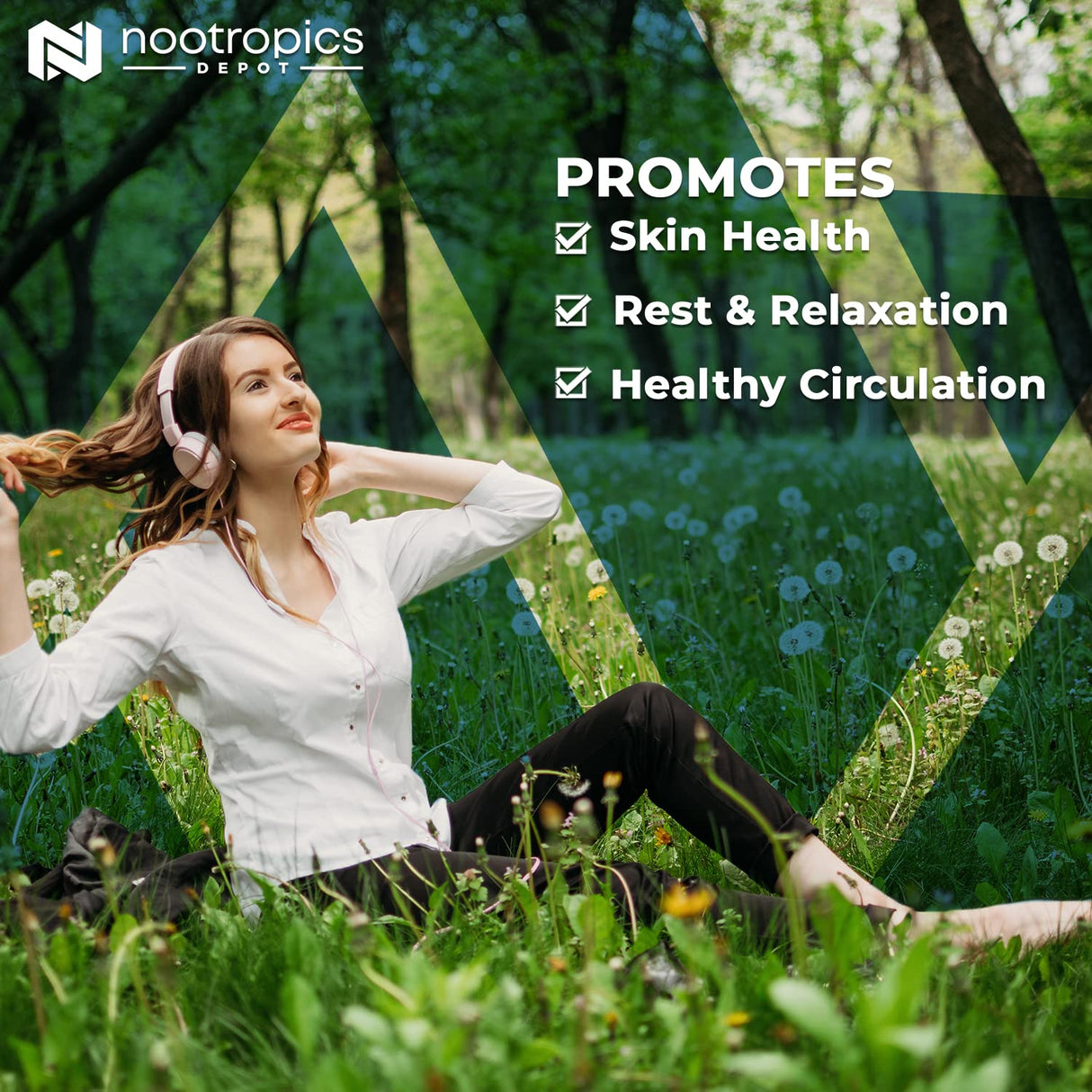 Nootropics Depot Baikal Skullcap Extract Tablets | 250mg | 60 Count | >15% Apigenin, >20% Baicalein, >50% Baicalin