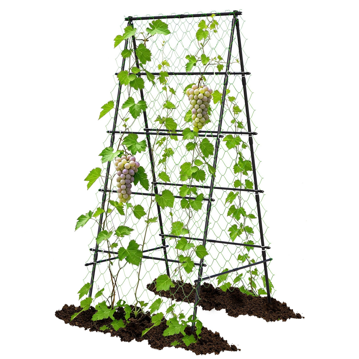 AlisisFores A-Shape Garden Trellis for Climbing Plants, Black