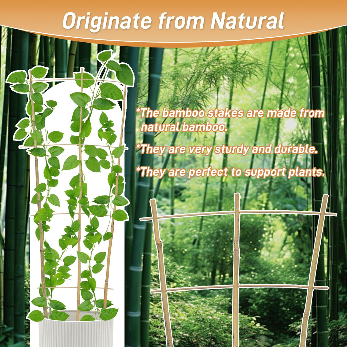 10 Pack 2ft Bamboo Trellis for Climbing Plants, Fan-Shaped Garden Support