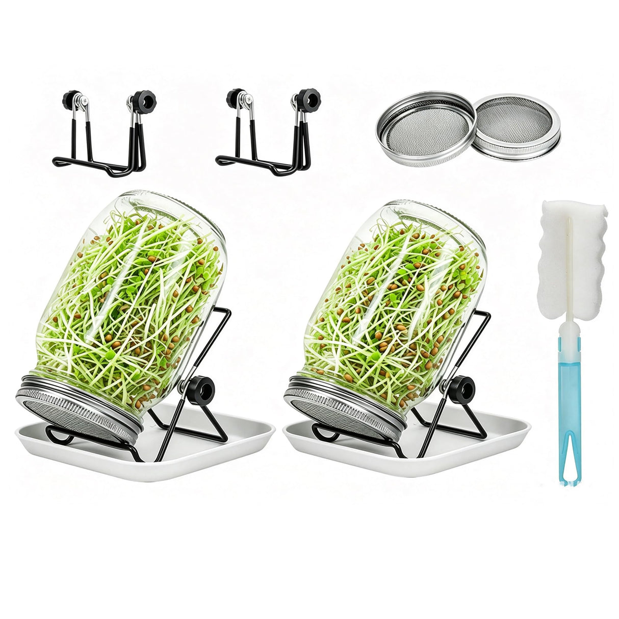 Lulonpon 2pcs Sprouts Growing Jar Kit, Wide Mouth Quart Mason Jars with Stainless Steel Screen Sprout Lids, 86mm,1000ml,Stand,Tray and Canning Brush,Seed Sprouter Set for Broccoli, Alfalfa, Mung Bean