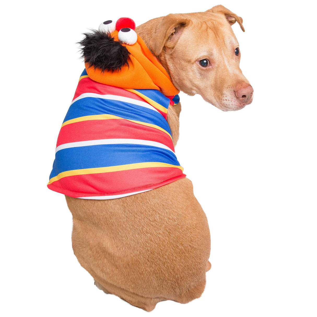 Pet Krewe Large Ernie Costume - Sesame Street Ernie Dog Costume - Fits Small, Medium, Large and Extra Large Pets - Perfect for Halloween, Christmas Holiday, Parties, Photoshoots, Gifts for Dog Lovers