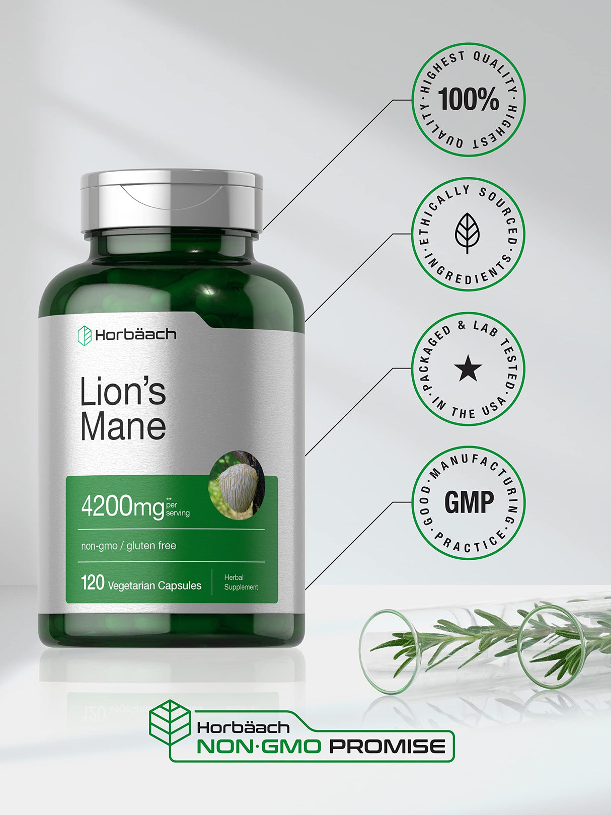 Horbäach Lions Mane Mushroom Extract | 4200mg | 120 Capsules | Vegetarian, Non-GMO, Gluten Free Supplement