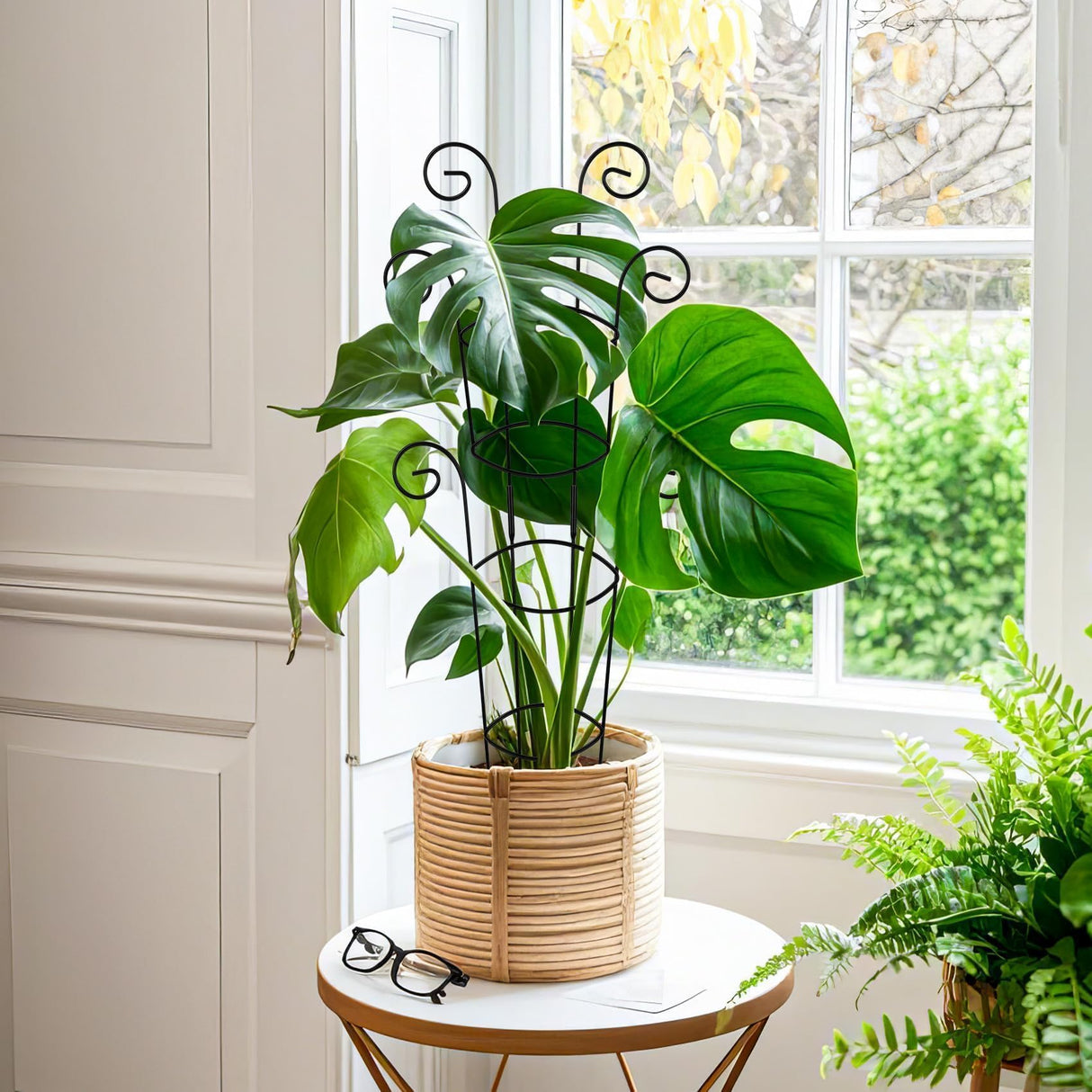 QIAOKAIYAN 4 Pack 30 Inch Tall Metal Plant Trellis for Climbing Plants Indoor - Rustproof Garden Trellis for Potted Houseplants, Sturdy Support for Ivy, Pothos, Monstera, Hoya & Flower Vines