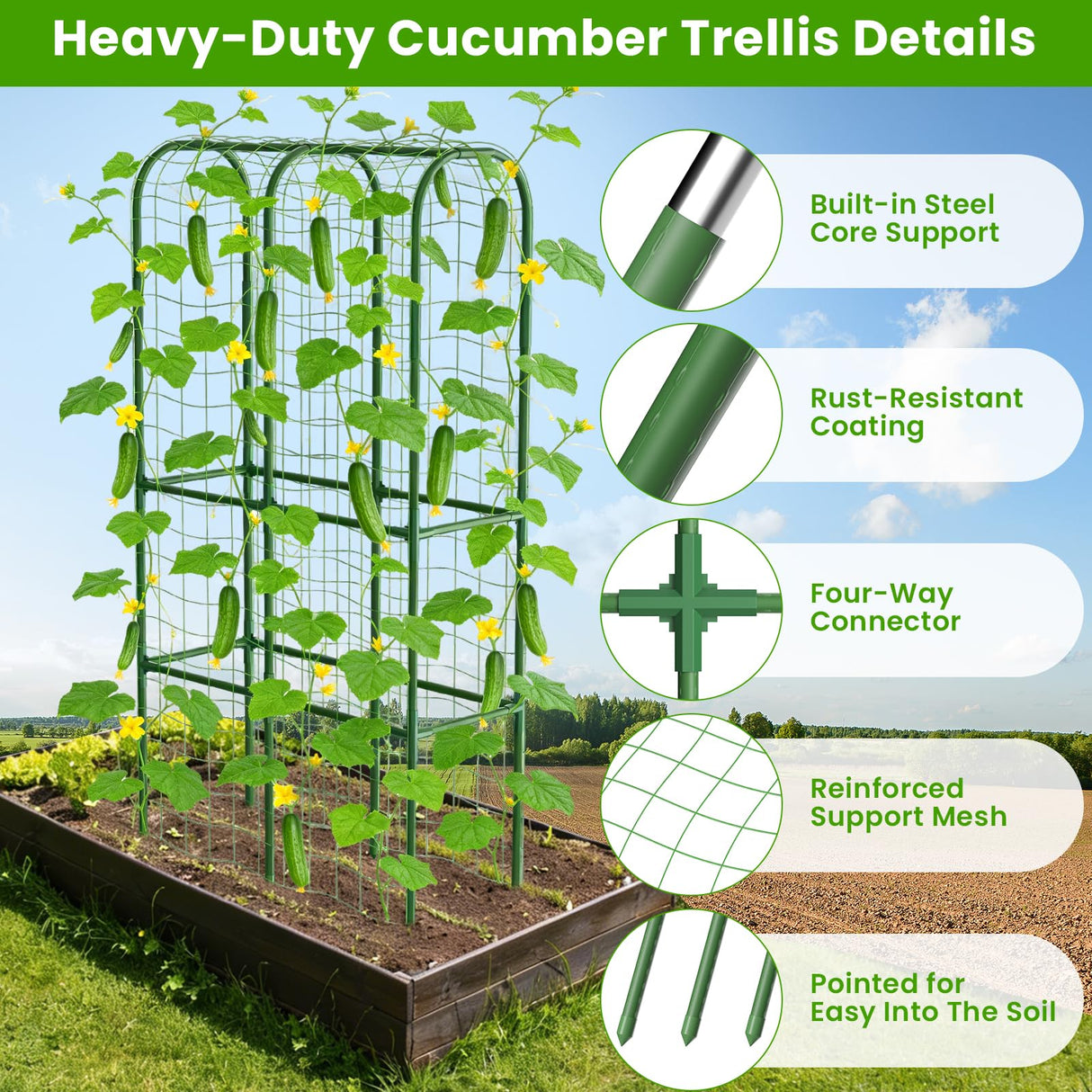 62in Tall Cucumber Trellis for Raised Bed, 34" L x 62" H Metal Garden Trellis for Climbing Plants Outdoor, U-Shape Vegetables Trellis Support for Squash Zucchini Peas Grape