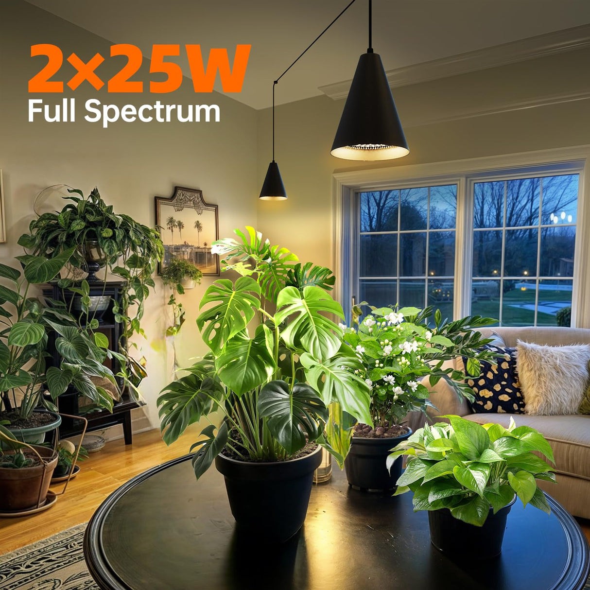 Bstrip 50W Double-Head One Cord Grow Lights for Indoor Plants full Spectrum 3000K, Black LED Grow Light Bulb with Timer & 16.4FT Power Cord, Perfect for Tall Plants, Flowers, and Greenhouses in Winter