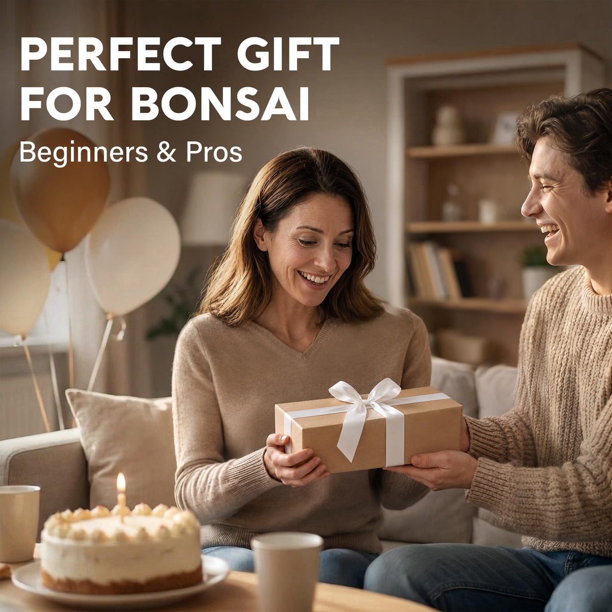 Avergo Bonsai Starter Kit – Growing Jacaranda Bonzai Tree