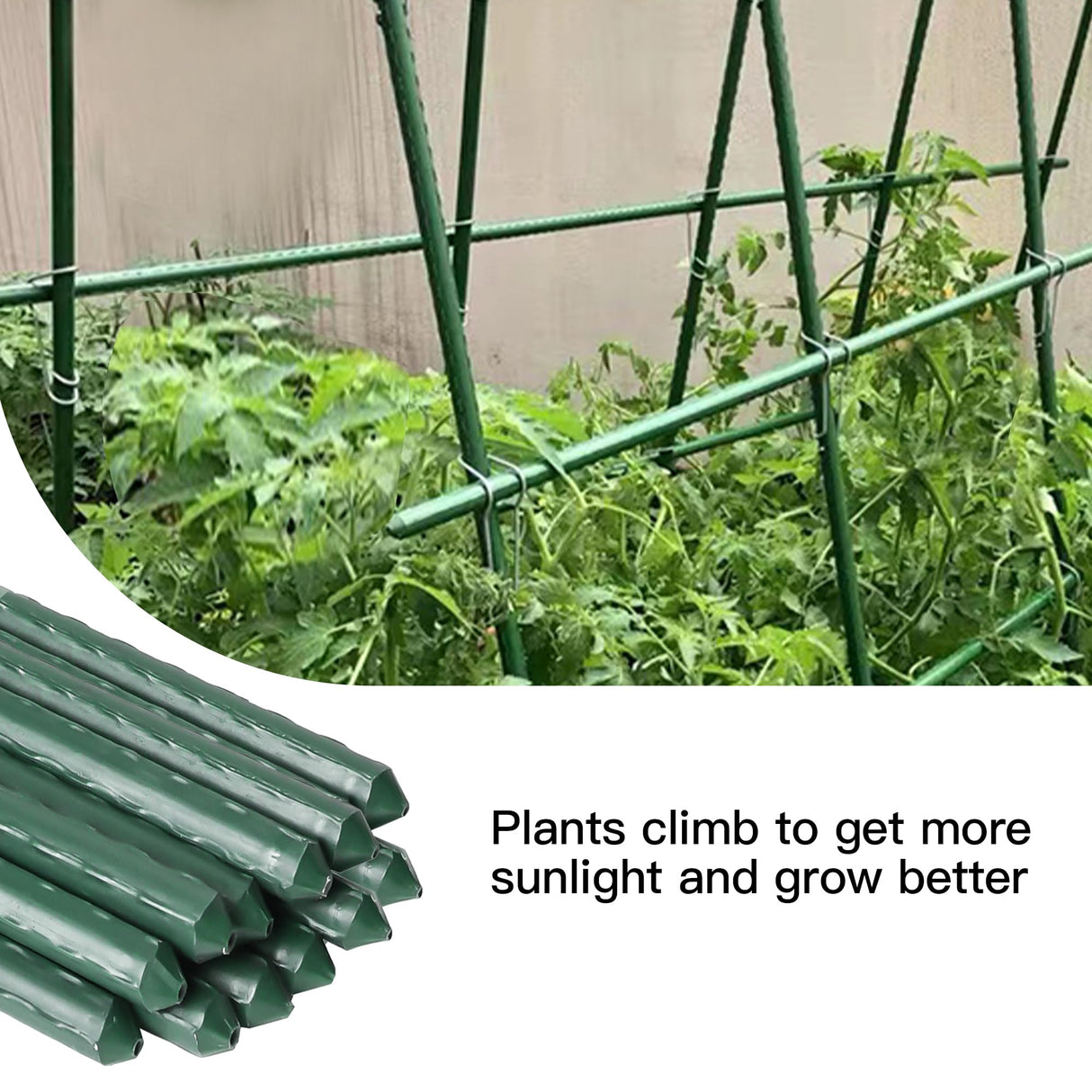 Garden Stakes 8ft, Metal Plant Stakes 8 Feet for Gardening and Farm, 0.78 Inch Dia Plastic Coated Plant Support for Tomato, Cucumber, Bean, Flower, Potted and More Climbing Plants 10 Pack