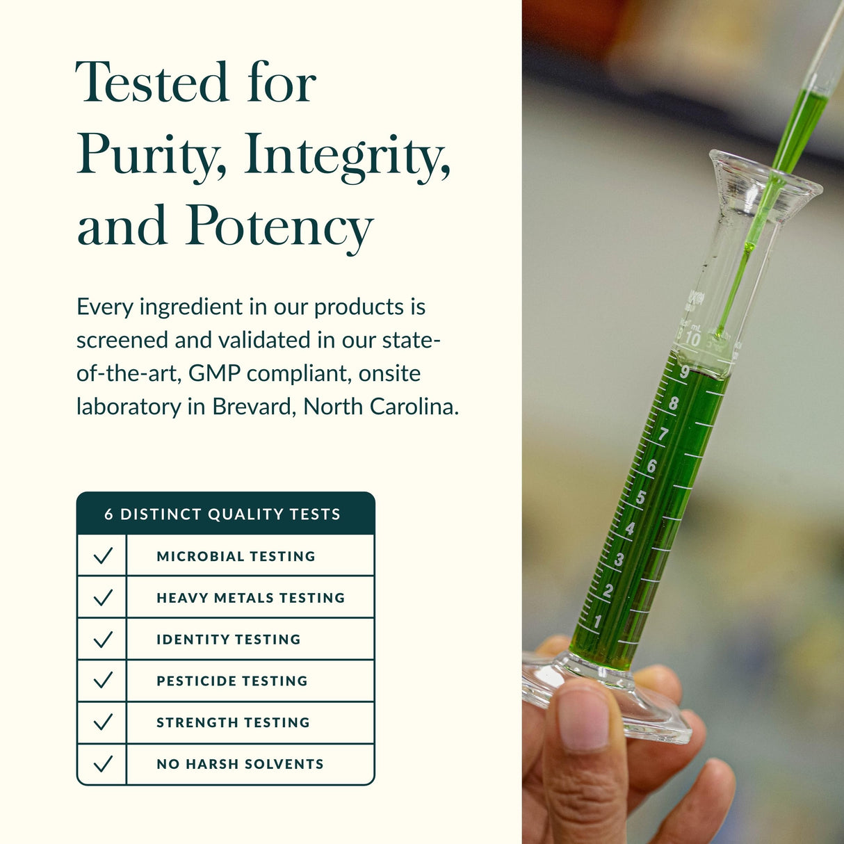 Gaia Herbs Bacopa - Brain and Cognitive Support Herbal Supplement - Made with Bacopa (Bacopa Monnieri) to Help Support a Thriving Mind - 60 Vegan Liquid Phyto-Capsules (Up to 60-Day Supply)