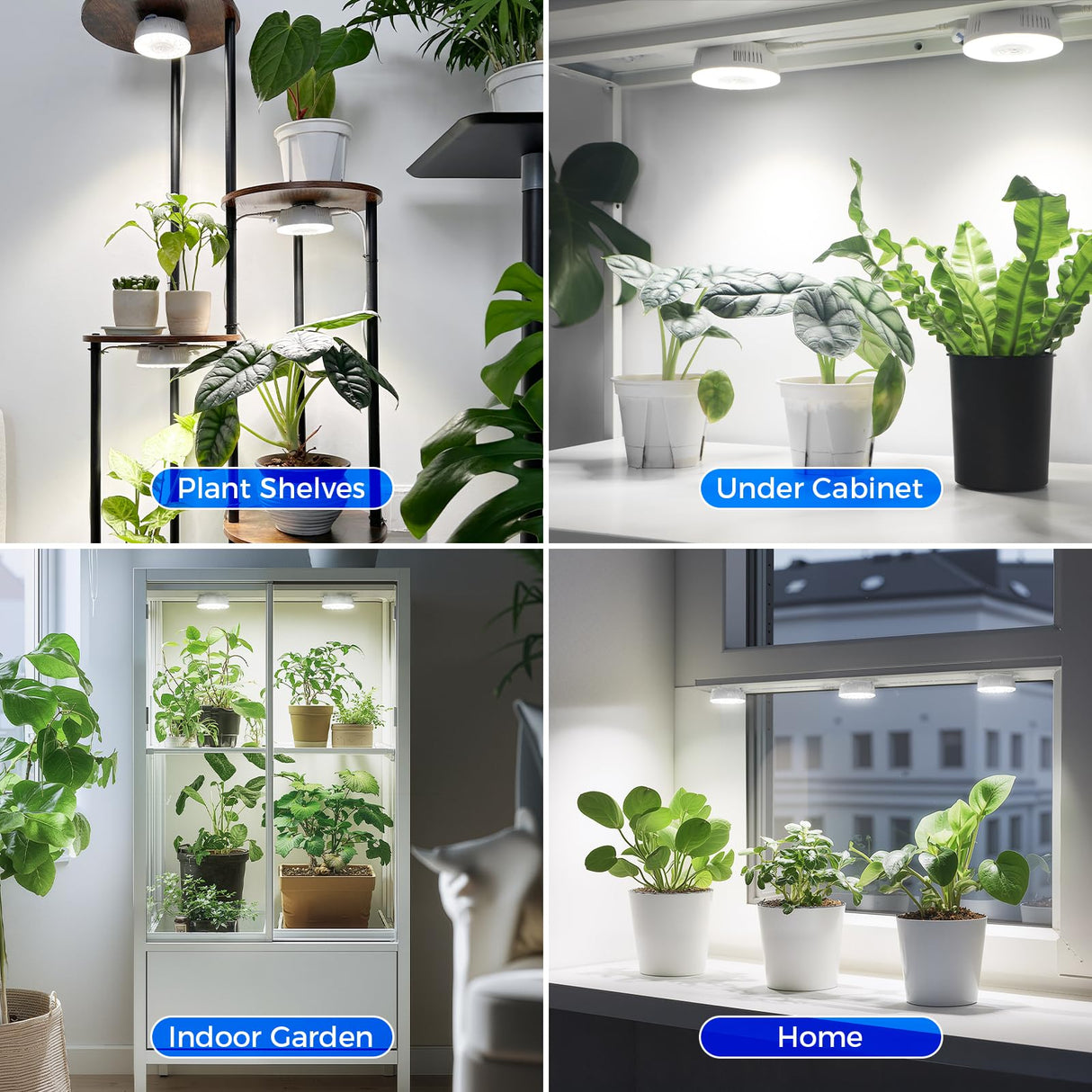 Barrina Orbgrow OG09 Puck LED Grow Light, 5000K 18W(2 x 9W, 270 Watt Equiv), Plant Lights for Indoor Plants Full Spectrum, Magnetic & Linkable, Small Grow lamp, Perfect for Plant Shelf, 2 Packs