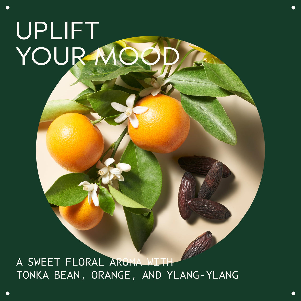 Aveda Cherry Almond Softening Shampoo | Gentle Daily Shampoo | for Normal to Dry Hair | 97% Naturally Derived* | Silicone Free | Iconic Cherry Almond Aroma of Tonka, Orange, Ylang Ylang, 33.8 Fl Oz