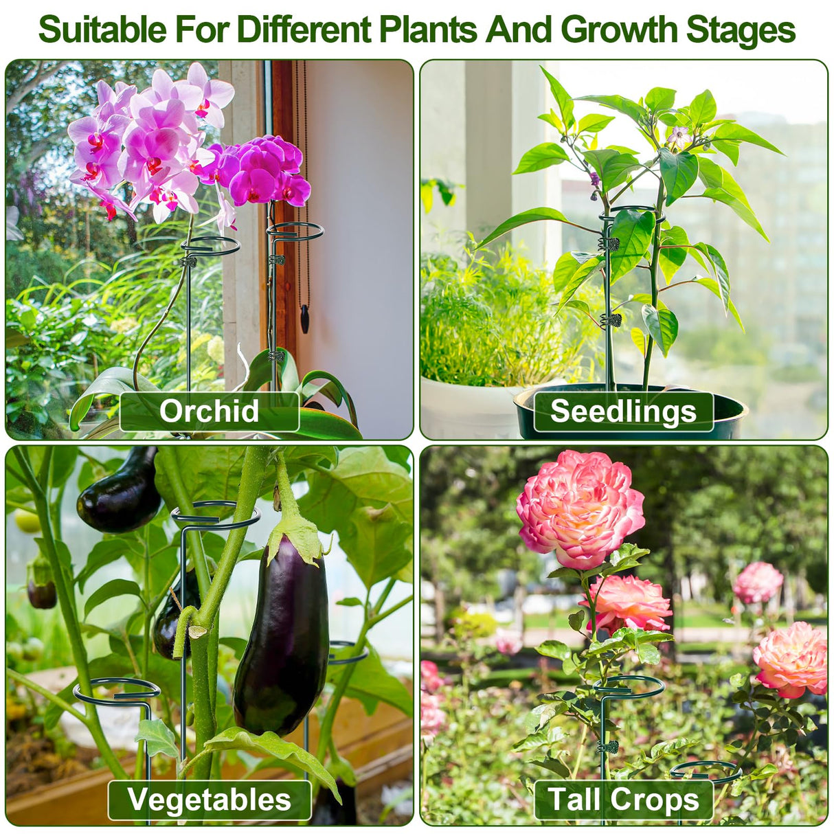 Mwellewm 6 Sets Plant Stakes 12/25/36 Inch Adjustable Plant Support Stakes Tall for Indoor Outdoor Plant Holder Stick Steel Garden Stem Pole Amaryllis Stakes with 30 Clip for Tomato Orchid Lily Flower