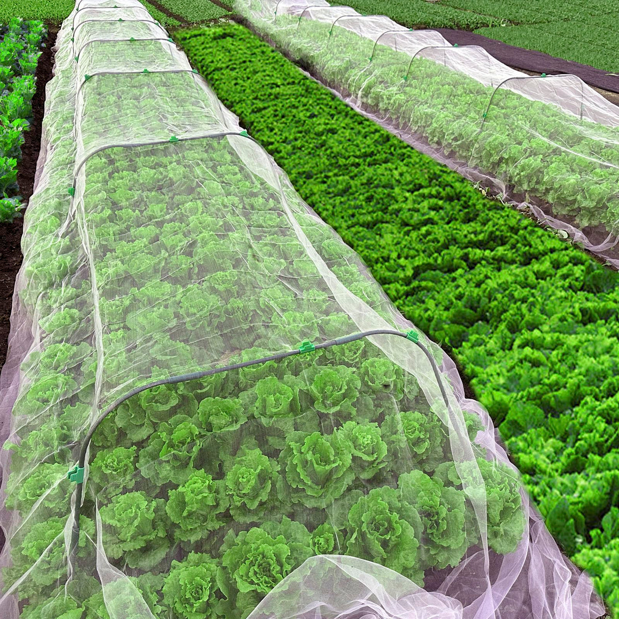 2 Pack Garden Netting 10x39.4Ft Ultra Fine Mesh Insect Netting for Garden Protection,Reusable Barrier Protection Mesh Plants Cover for Protect Vegetables Plants Fruits Flowers Crops from Animals