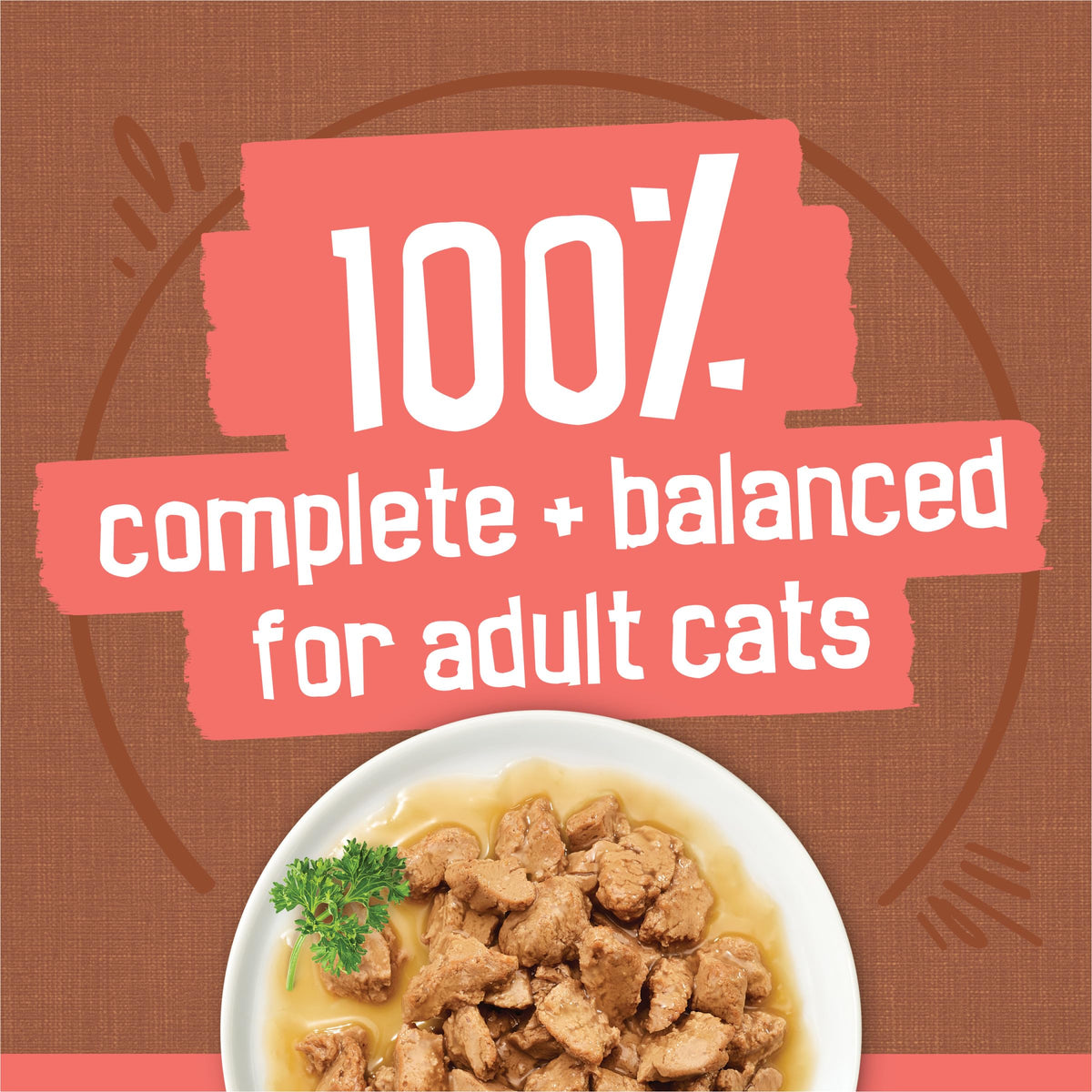 Purina Friskies Extra Gravy Wet Cat Food Chunky Variety, (24) 5.5 oz. Cans