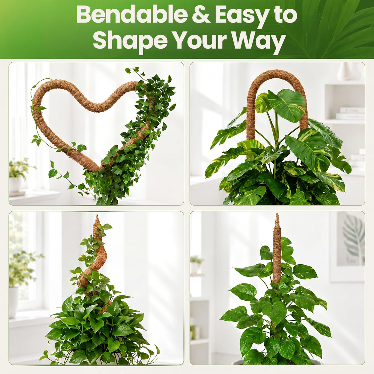 2 Pack 63'' Bendable Moss Pole Monstera Plant Support for Large Climbing Indoor Plants - Stakes for Potted Climbers - Tall Sticks Indoor Trellis for Houseplants - Accessories for Monstera Pot