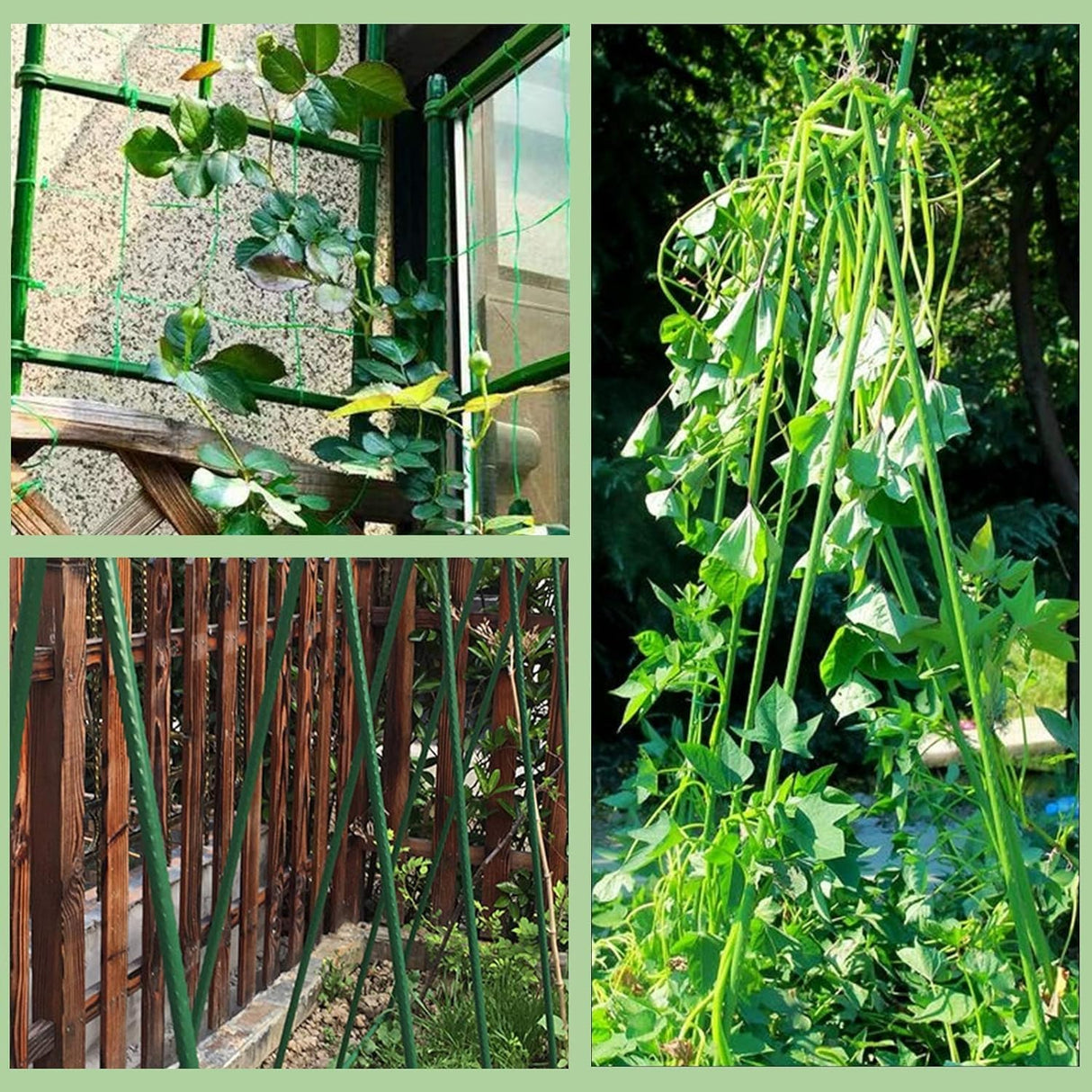 BOTINDO Garden Stakes 36 Inches Sturdy Green Plant Sticks 25 Pack, Metal Tomato Stakes Support, Yard Plant Support Cage for Potted Plants, Tomatoes, Trees, Cucumber, Fences, Beans (36 inch)