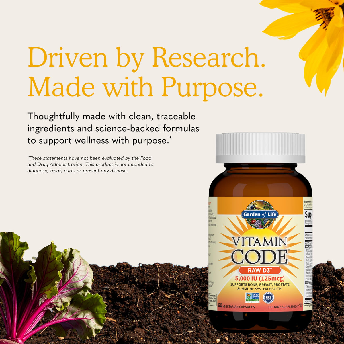 Garden of Life Vitamin Code Raw D3 5000 IU, 60 Vegetarian Capsules