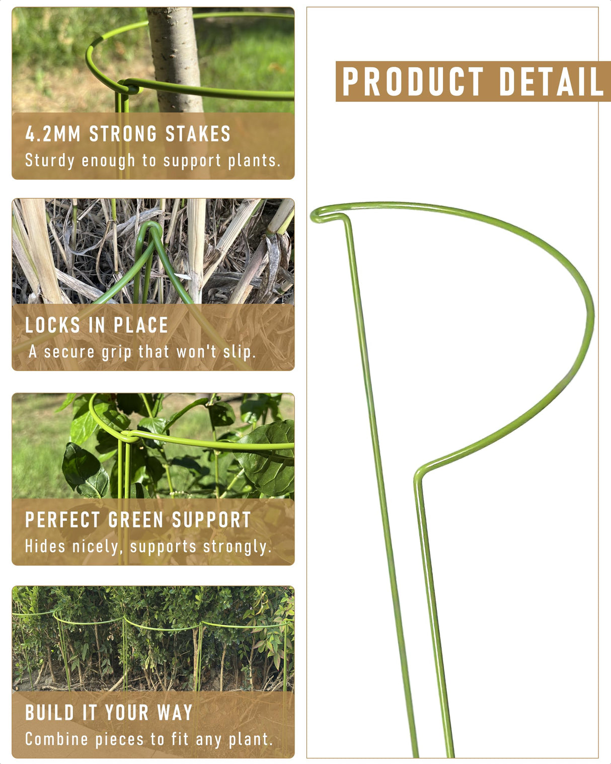 10-Pack Plant Support Stakes, Heavy Duty Steel Plant Stakes as Monstera Plant Support & Peony Cages, Metal Garden Stakes for Indoor Outdoor Plants, Snake Plant & Vine Support, 10" W x 15.8" H
