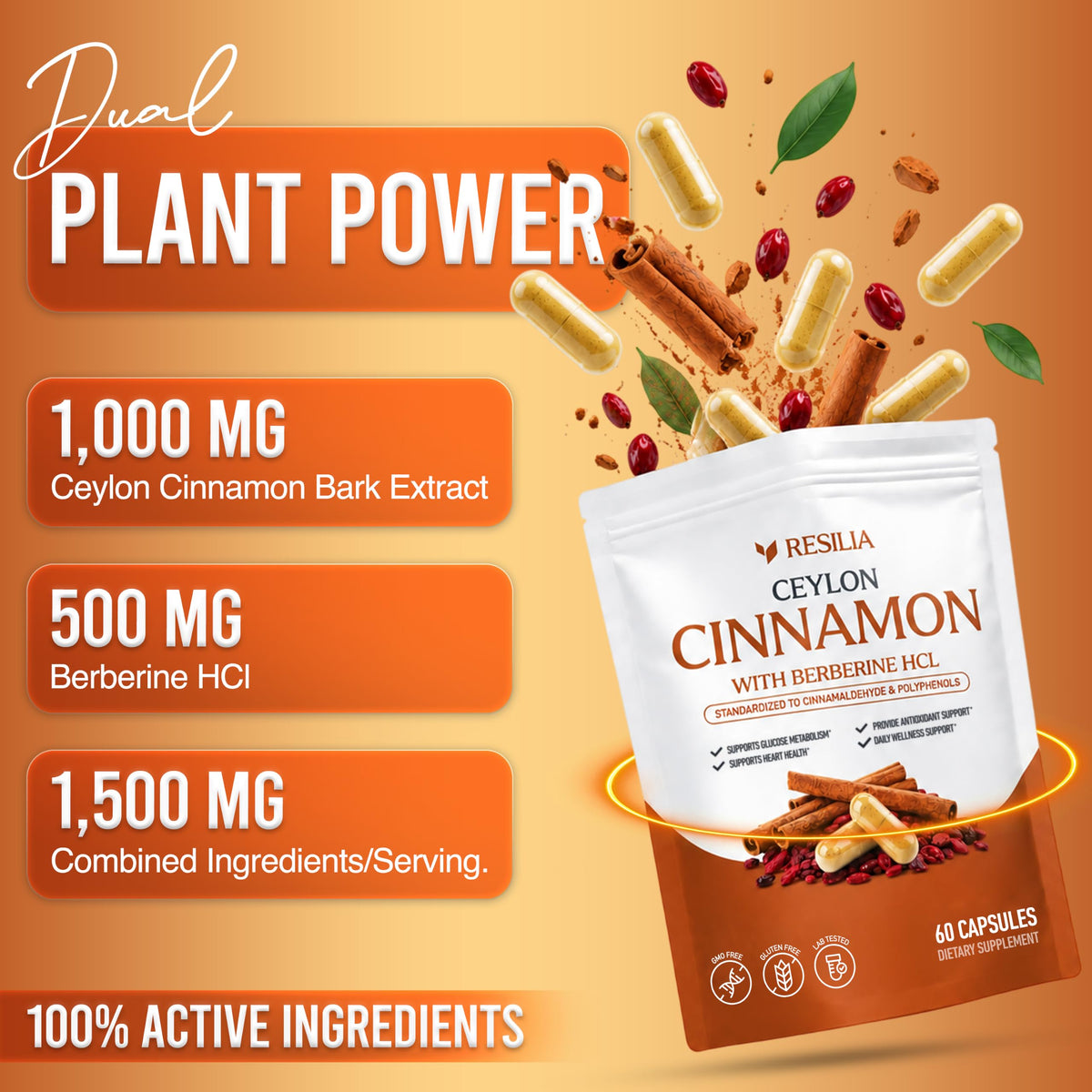 Resilia Ceylon Cinnamon Capsules with Berberine HCl, 60 Vegetable Capsules | 1,000 mg Cinnamon bark and 500 mg Berberine HCl per Two-Capsule Serving, 30-Day Supply