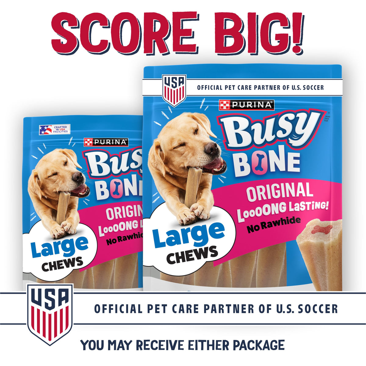 Purina Busy Bone Tiny Toy Breed Dog Chew Treats, Original, 60 ct Pouch