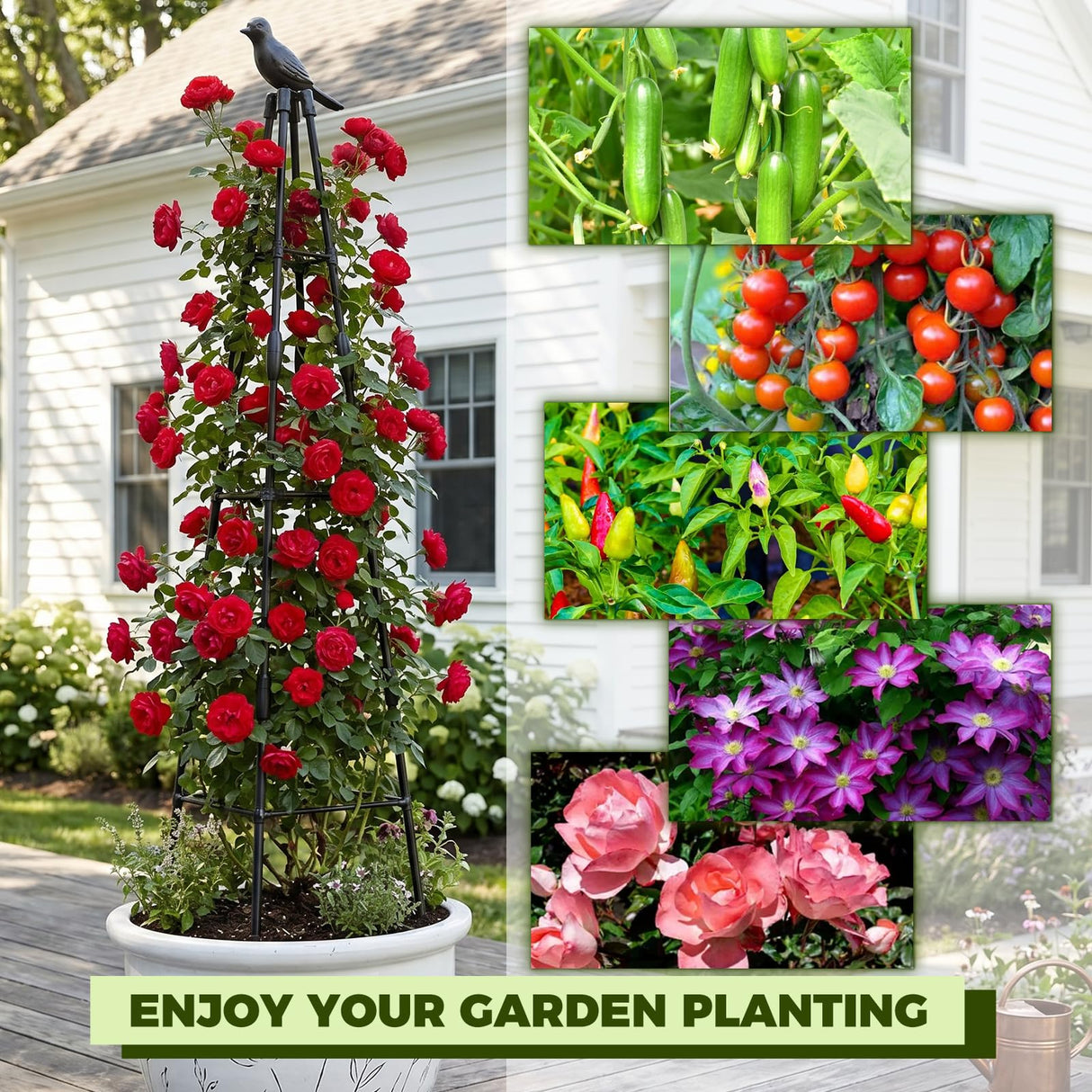 2 Pack Cucumber Trellis, 4FT Cucumber Trellis for Raised Bed, Garden Obelisk Trellis for Climbing Plants Outdoor Rustproof Plants Support for Flower Vine Vegetable Tomato Cage,Potted Plants