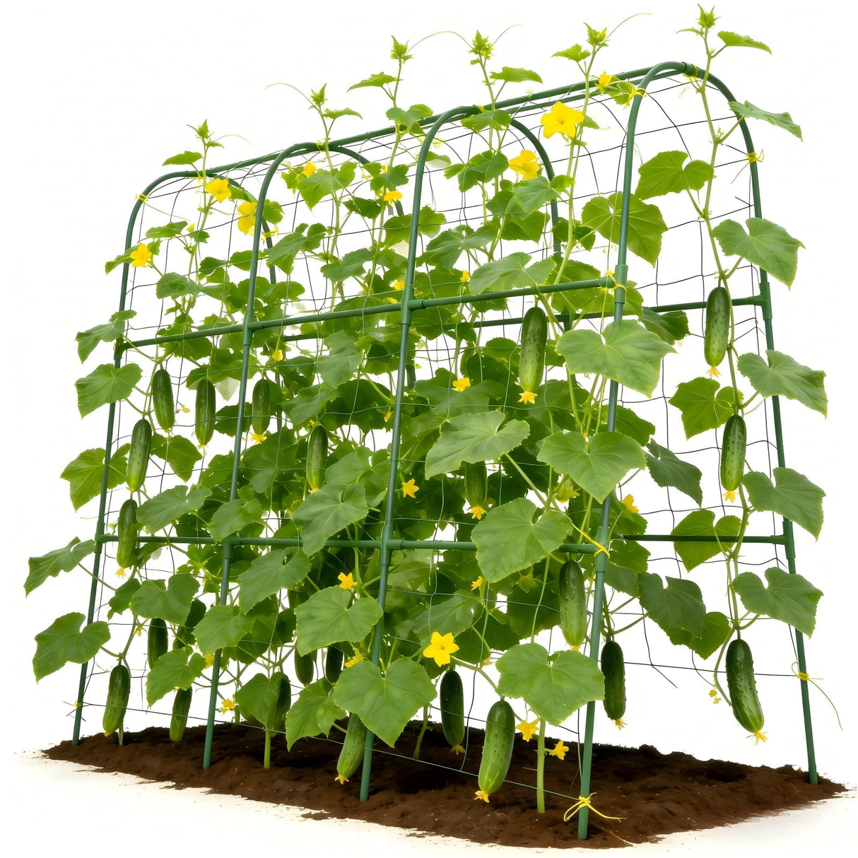 Tegarbed 48x46 in U-Shape Cucumber Trellis for Climbing Plants Outdoors